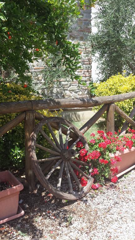Agriturismo Le Baccane 빈치 외부 사진