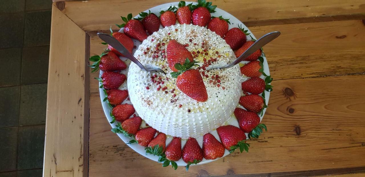 Agriturismo Le Baccane 빈치 외부 사진
