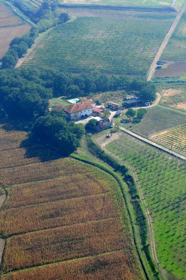 Agriturismo Le Baccane 빈치 외부 사진
